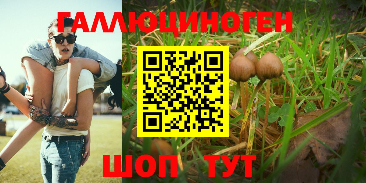 Галлюциногенные грибы Magic Shrooms Серпухов