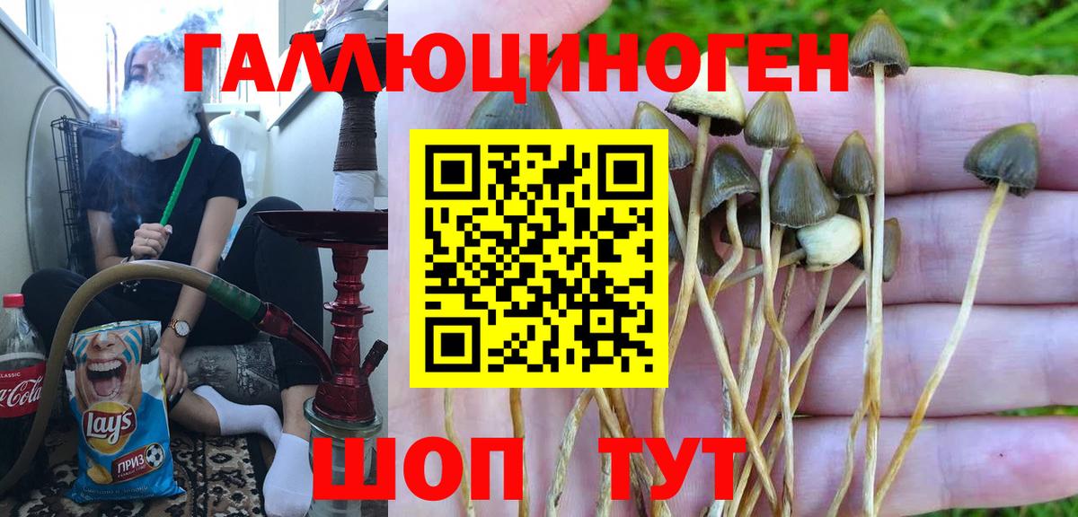 купить  сайты  Псилоцибиновые грибы MAGIC MUSHROOMS  Вход с VPN  Серпухов 